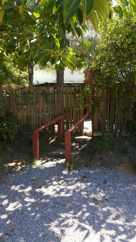 Outdoor Pictures 24
