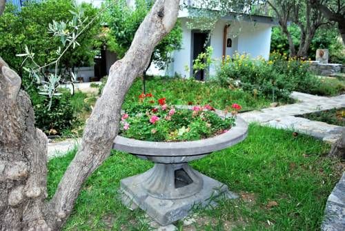 Outdoor Pictures 21