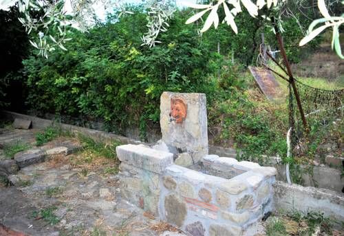 Outdoor Pictures 22