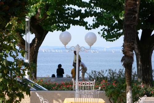 Outdoor Pictures 8