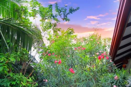 Outdoor Pictures 20