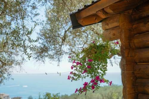 Outdoor Pictures 23