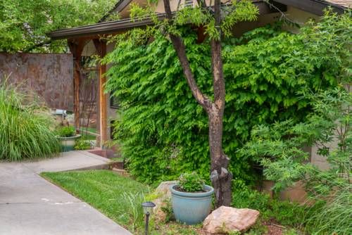 Outdoor Pictures 21