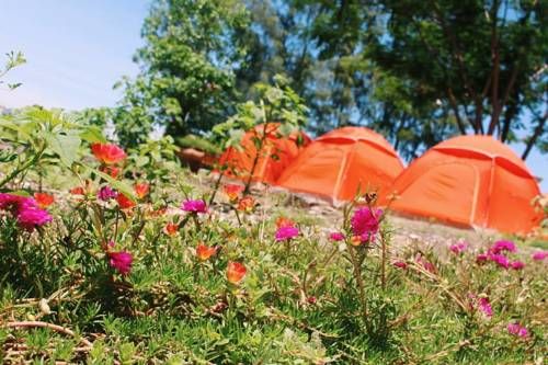 Outdoor Pictures 4