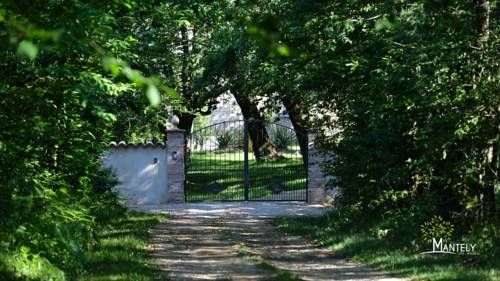 Outdoor Pictures 11