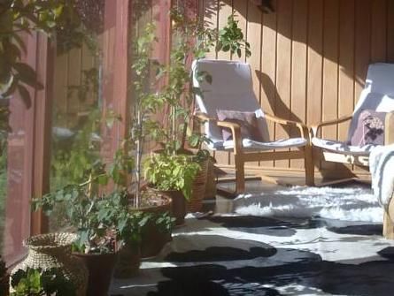 Outdoor Pictures 17