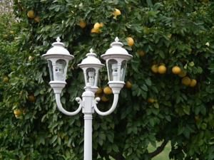 Outdoor Pictures 22