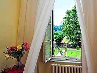 Outdoor Pictures 19