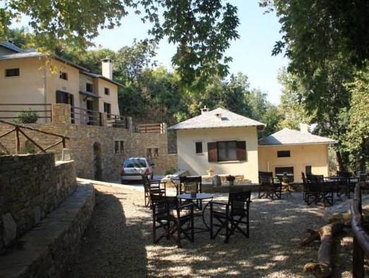 Vergopoulos Oliveyard