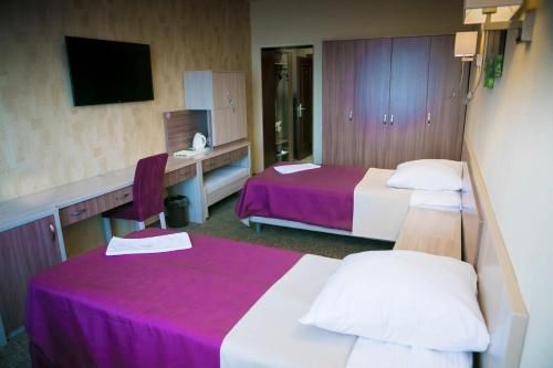 Hotel Aldan