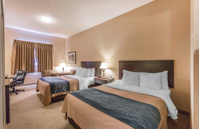 Comfort Inn & Suites Red Deer