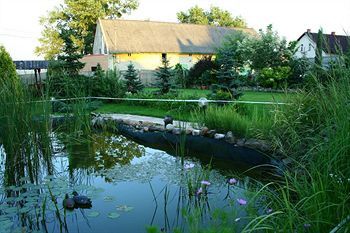 Outdoor Pictures 23