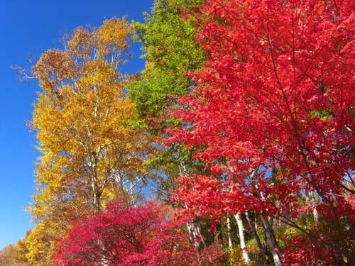 Outdoor Pictures 20