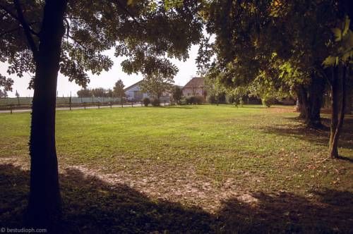 Outdoor Pictures 20