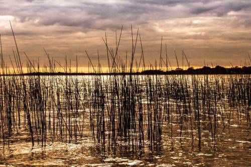 Outdoor Pictures 20