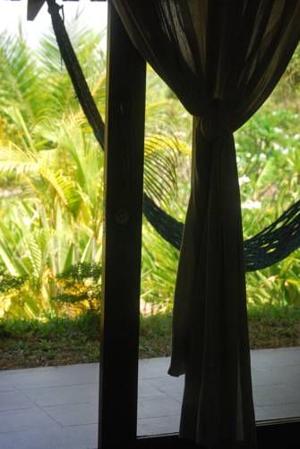 Outdoor Pictures 17