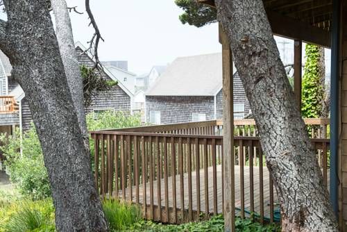 Outdoor Pictures 22