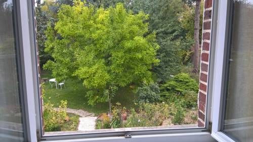 Outdoor Pictures 23