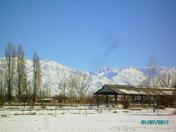 Outdoor Pictures 24