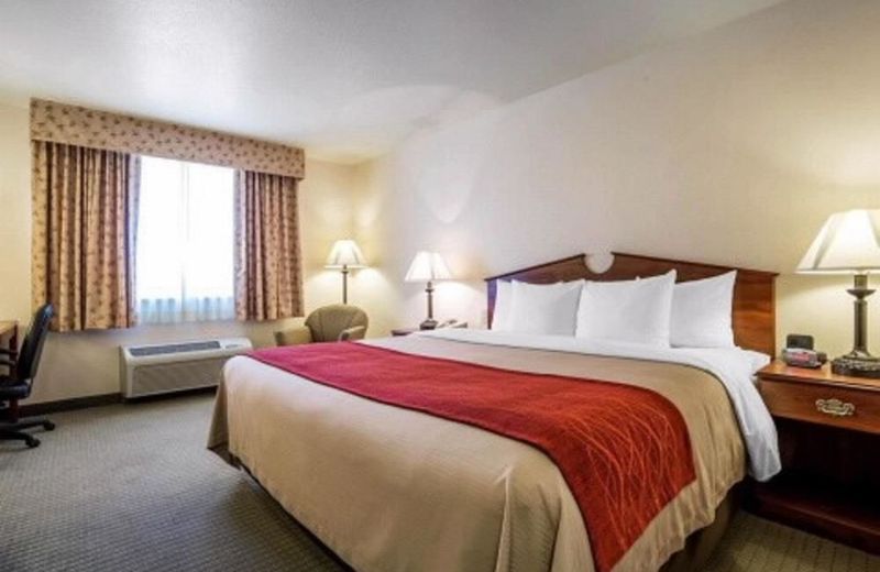 SureStay Plus Hotel by Best Western Buffalo