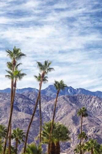 Outdoor Pictures 20