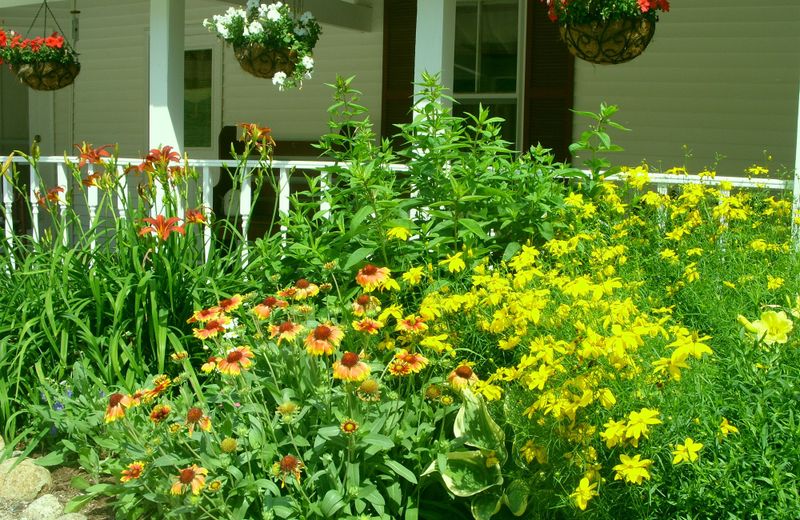 Cranmore Mountain Lodge Bed & Breakfast