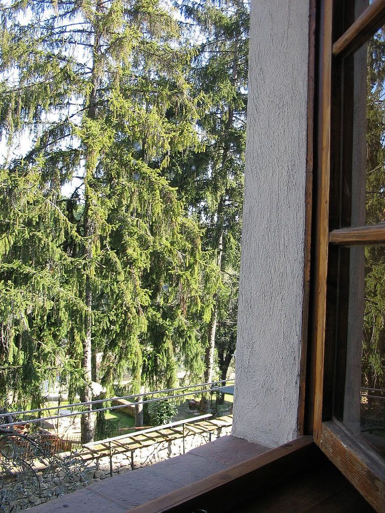 Outdoor Pictures 3