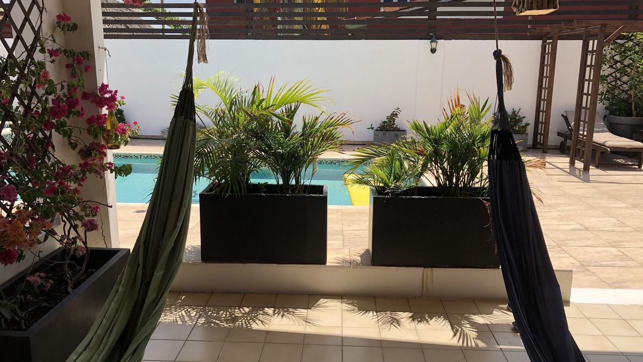 Aruba Lagunita