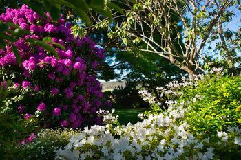 Outdoor Pictures 22