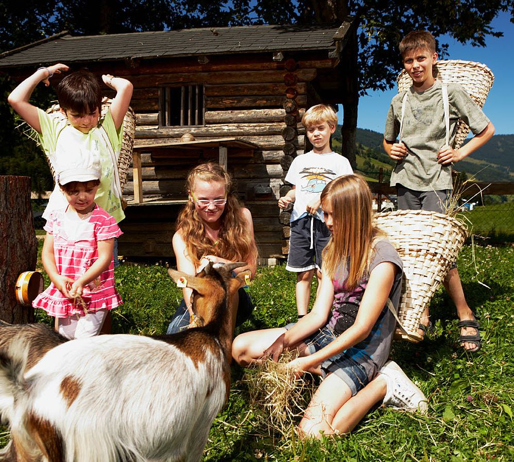 Outdoor Pictures 24