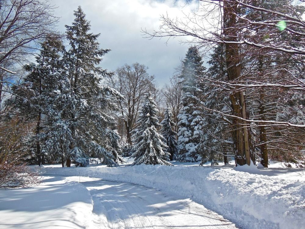 Outdoor Pictures 14