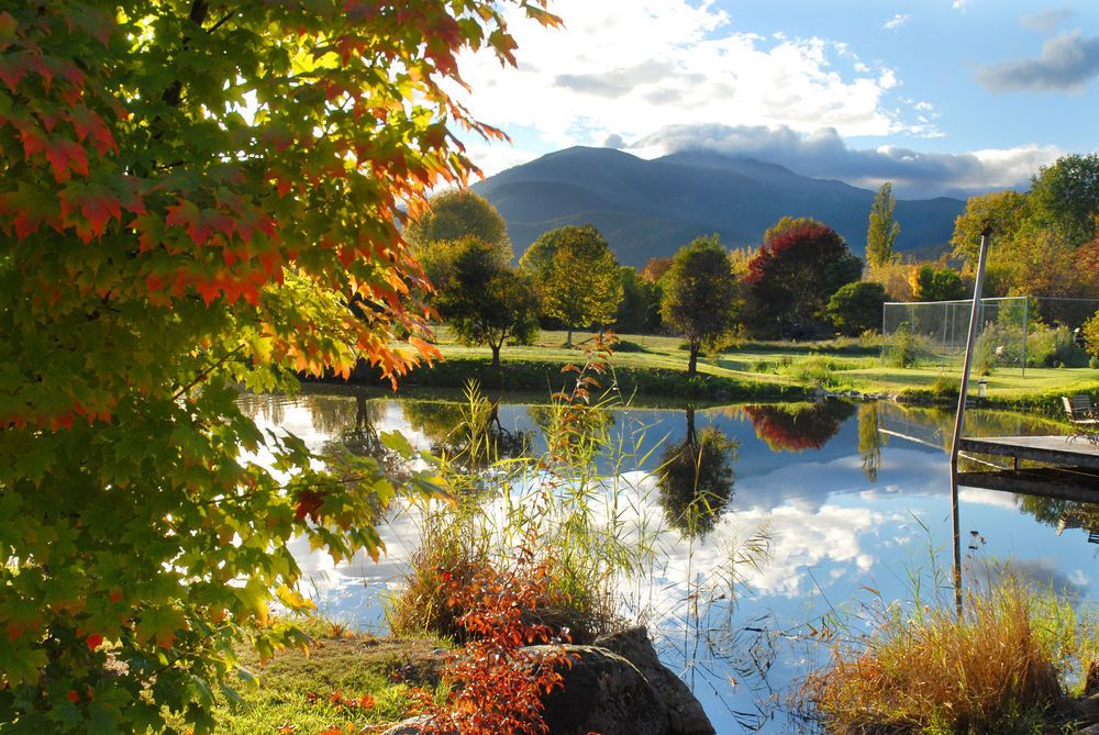 Outdoor Pictures 21