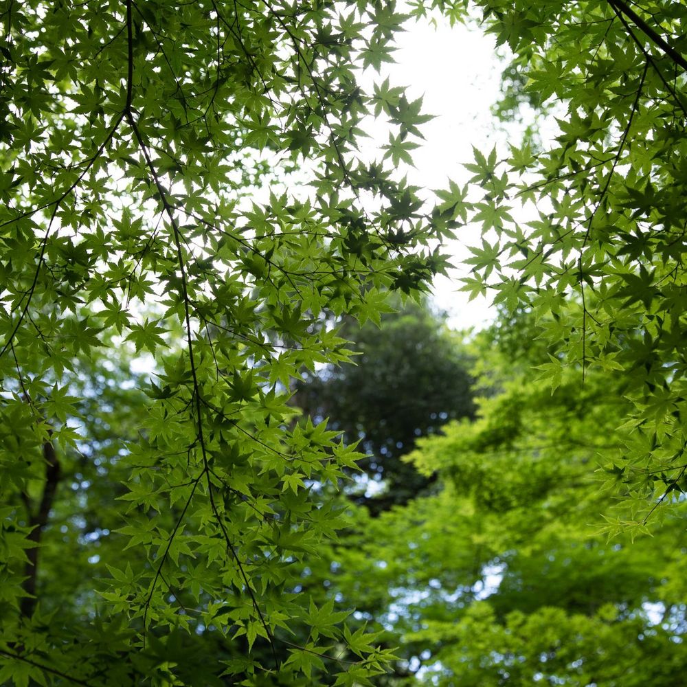 Outdoor Pictures 20