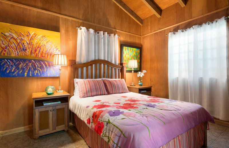 Arecibo Chalet Abreu