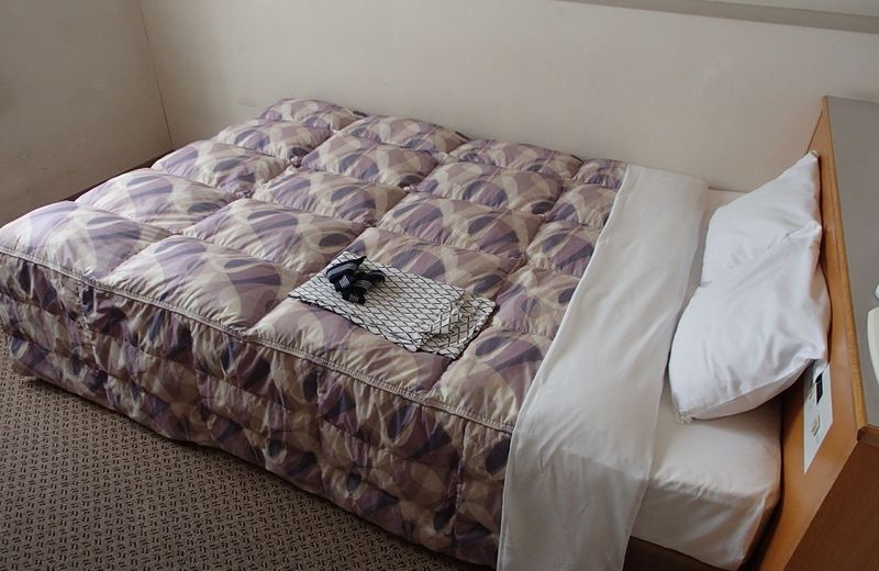 Hotel Shinsuien