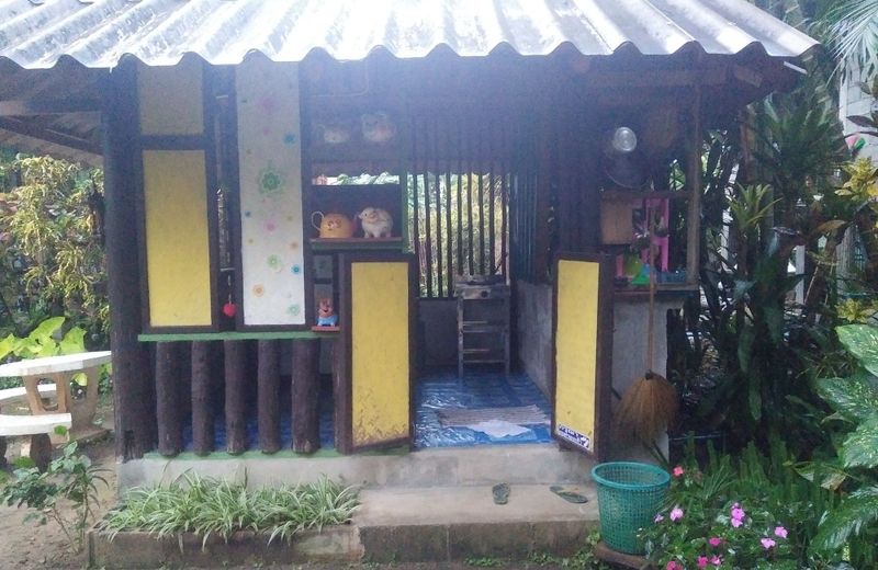 Honey Homestay