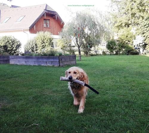 Outdoor Pictures 18