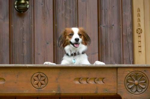 Outdoor Pictures 15
