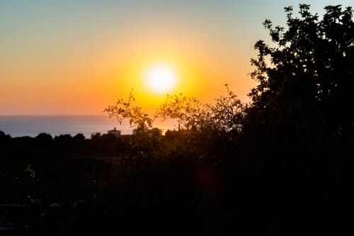 Outdoor Pictures 19