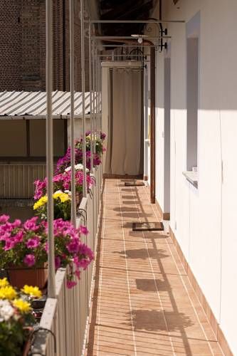 Outdoor Pictures 21