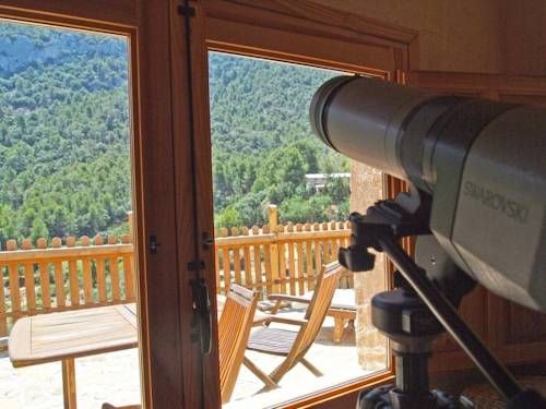 Outdoor Pictures 21