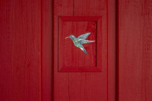 Outdoor Pictures 24