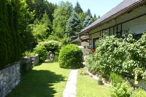 Outdoor Pictures 11