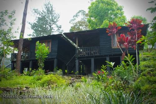 Outdoor Pictures 11