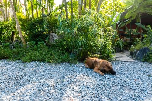 Outdoor Pictures 22