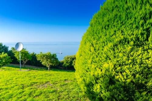 Outdoor Pictures 20