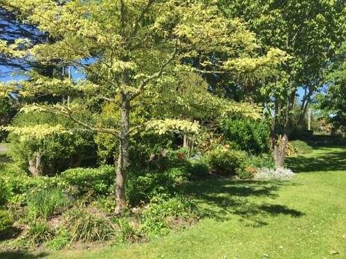 Outdoor Pictures 7