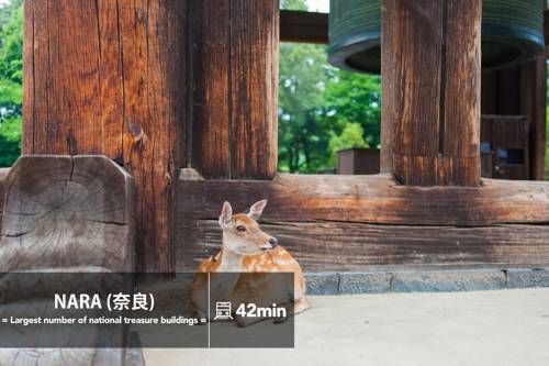 Outdoor Pictures 21