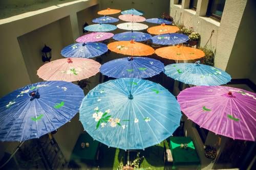 Outdoor Pictures 7