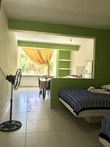 Rega suites